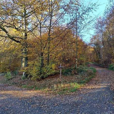 Nature Retreat, Cleaning Included Immerath