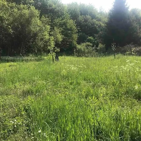 Apartament Nature Retreat, Cleaning Included