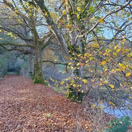 Nature Retreat, Cleaning Included