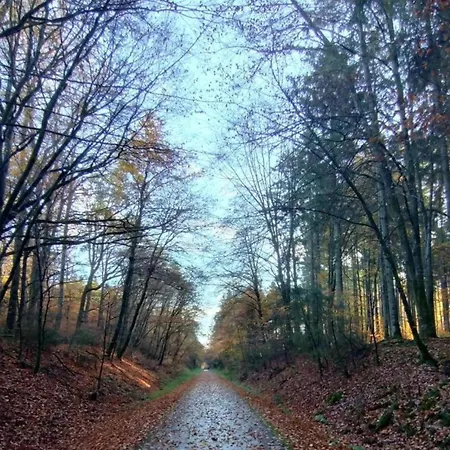 Nature Retreat, Cleaning Included Apartament *