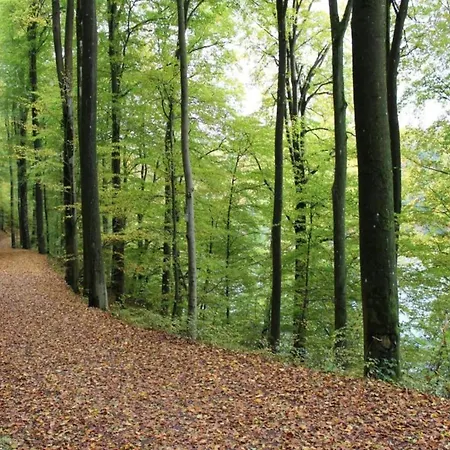 Nature Retreat, Cleaning Included Immerath
